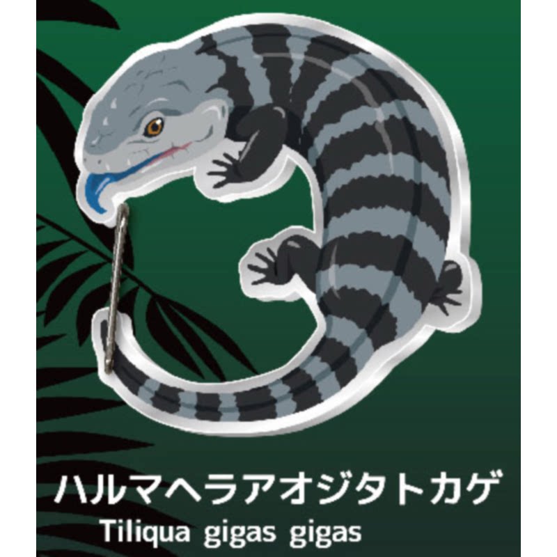 Lizard Gecko Carabiner Keychai - Capsule Toy Gashapon recension och pris