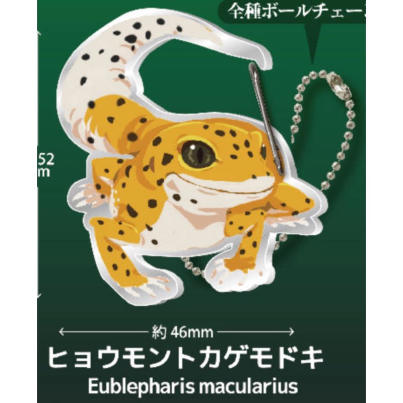 Lizard Gecko Carabiner Keychai - Capsule Toy Gashapon recension och pris