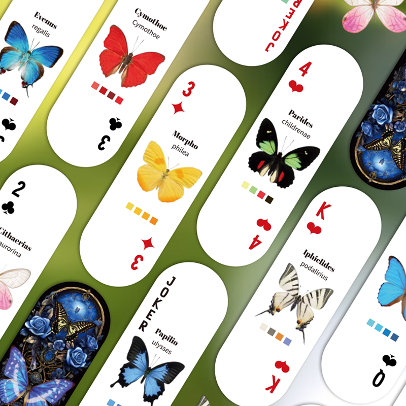 Mr.Paper Table Card Game 54/Bo - Graded Card Display recension och pris